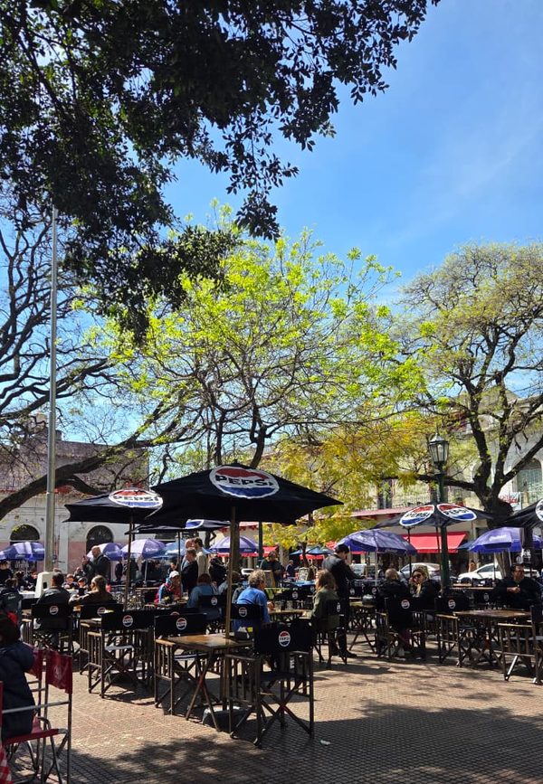 Las mesas bajo los árboles de la Plaza Dorrego, en un día de sol